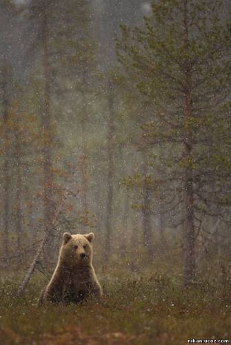 Creative_1762