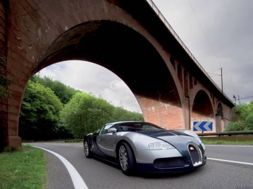 Bugatti Veyron 16.4 (3)
